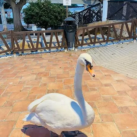 1 Linea, 2 Bedrooms Duplex, Sea View, 50 M From Apartment *